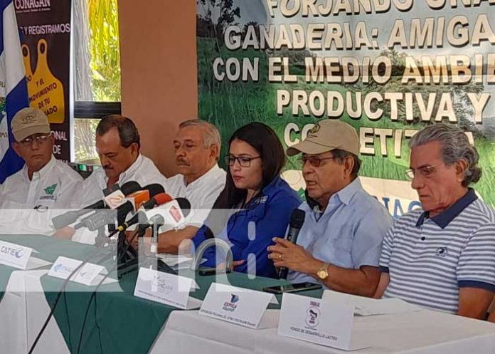 CONAGAN-1 Sector Ganadero en Nicaragua reporta crecimiento en valor