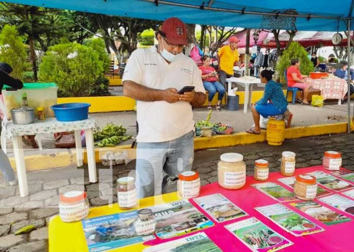 Foto: INTA Granada realiza exposiciones de semilla para cosecha 2022 / TN8