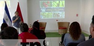 Foto: INTA en Nicaragua capacita a productores sobre el manejo de enfermedades en hortalizas / TN8