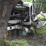 Conductor se estrella contra un árbol en León Conductor se estrella contra un árbol en León