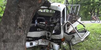Conductor se estrella contra un árbol en León