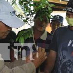 Productores de Madriz mejoran conocimientos de injertos