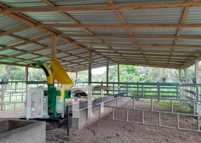 MEFCCA inaugura nueva galera de ordeño en Morrito, Río San Juan