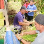 Siuna: Productores reciben capacitación de alimento balanceado de ganado Siuna: Productores reciben capacitación de alimento balanceado de ganado
