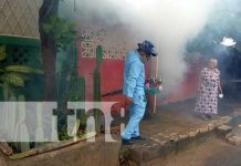 Prevención de enfermedades vectoriales en el barrio Georgino Andrade, Managua Fumigación y abatización en barrios de Managua