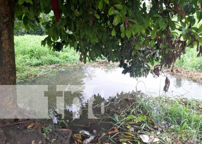 Zanjo donde murió ahogado un hombre en Rivas