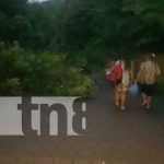 Derrumbe de tierra afecta paso vehicular en Diriamba: Autoridades atentas Árboles y tierra obstaculizan paso a comunidades en Diriamba