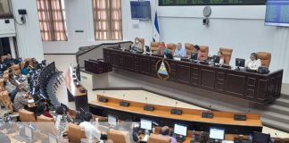 Sesión parlamentaria en la Asamblea Nacional