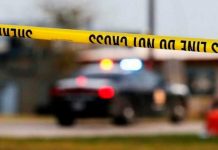 Mueren tres adultos y un niño en aparente homicidio-suicidio en Florida