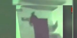 La impactante aparición de “una bruja” causó revuelo 