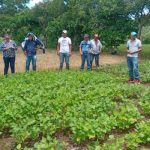 MHCP destaca impacto de educación en el campo en Nicaragua Se realizó capacitación a productores de granos básicos de Matagalpa