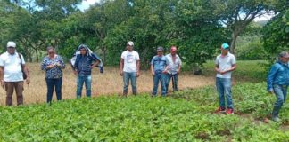 Se realizó capacitación a productores de granos básicos de Matagalpa