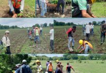 Gobierno de Nicaragua reforestó fuentes de agua y plantas de tratamiento Gobierno de Nicaragua reforestó fuentes de agua y plantas de tratamiento