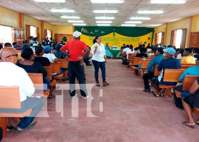 Campaña de preservación de tortugas marinas en el Caribe de Nicaragua