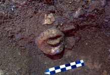 ¡Exitoso descubrimiento! Hallan la cabeza del Dios del Maíz