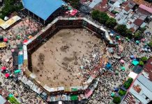 Desplome en plaza de toros dejó cuatro muertos y varios heridos en Colombia Desplome en plaza de toros dejó cuatro muertos y varios heridos en Colombia