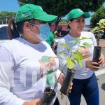 Jornada por el Día del Árbol en Nicaragua