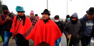 Leónidas Iza, líder indígena en Ecuador, es puesto en libertad