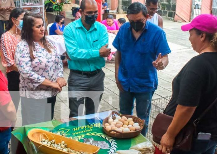 MIFIC capacita a emprendedores de Masaya para la transformación de sus productos