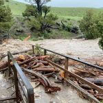 Inundaciones "sin precedentes" cierran Yellowstone y obligan a evacuaciones