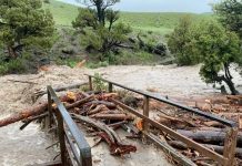 Inundaciones "sin precedentes" cierran Yellowstone y obligan a evacuaciones