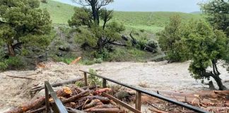 Inundaciones "sin precedentes" cierran Yellowstone y obligan a evacuaciones