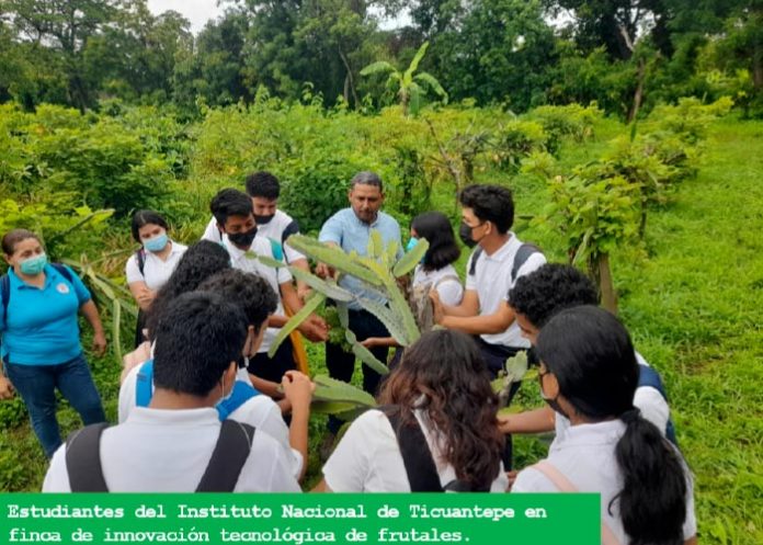 Programa Nacional de 