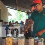 Madriz: Productores mantienen semillas criollas para la cosecha Productores mantienen semillas criollas para la cosecha en Madriz