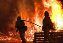 Incendio en las reconocidas colinas de ‘Hollywood’ Rápido actuar de los Bomberos en incendio de Hollywood