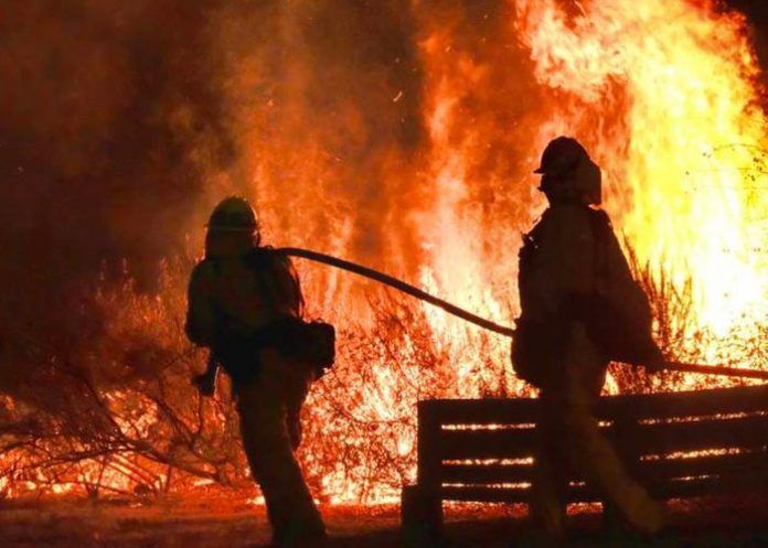 Rápido actuar de los Bomberos en incendio de Hollywood