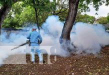 Fumigación y abatización en barrios de Managua