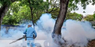 Fumigación y abatización en barrios de Managua
