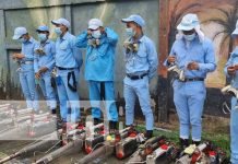 Brigadistas fumigan y abatizan en Managua