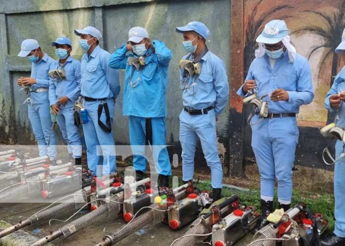 Brigadistas fumigan y abatizan en Managua