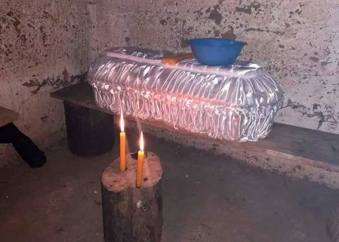 Tres hermanitos mueren por intoxicación con hongos venenosos en Guatemala