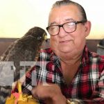 Crianza de un halcón desde Boaco