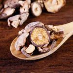 Extracto de hongo, prometedor para eliminar la infección por el VPH Extracto de hongo, prometedor para eliminar la infección por el VPH