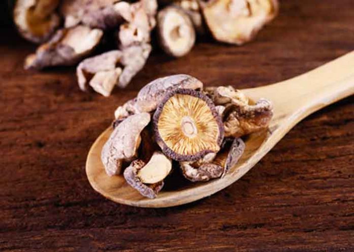 Extracto de hongo, prometedor para eliminar la infección por el VPH