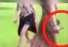 ¡Aterrador! Niña trató de acuchillar a otra por una pelea en redes sociales