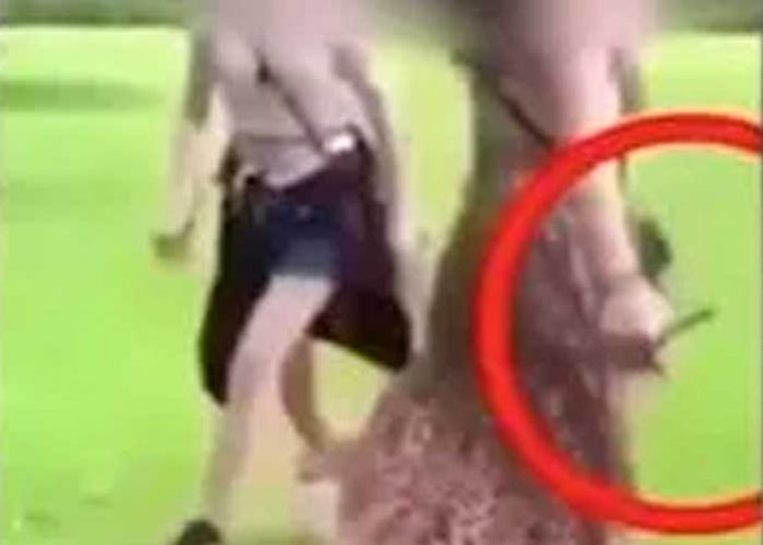 ¡Aterrador! Niña trató de acuchillar a otra por una pelea en redes sociales