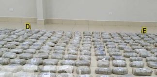 Incautación de marihuana en Telpaneca, Madriz
