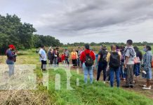 Productores de Managua conocen técnicas para mejorar el cultivo de maíz Enseñan a productores de maíz en Managua sobre variedad de semillas