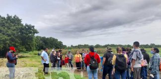 Enseñan a productores de maíz en Managua sobre variedad de semillas