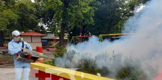Jornada de fumigación y abatización en Managua