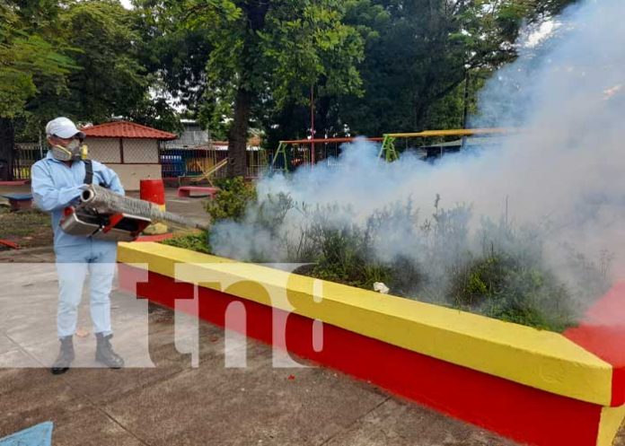 Jornada de fumigación y abatización en Managua