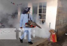 Fumigación y abatización en viviendas de Managua