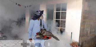 Fumigación y abatización en viviendas de Managua