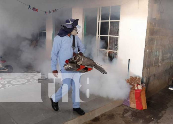 managua-fumiga-2 Fumigación y abatización en viviendas de Managua