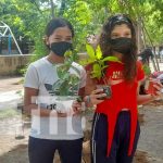 Reforestación desde colegios de Managua