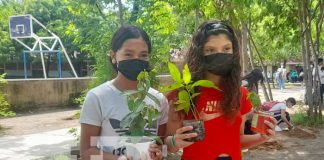 Reforestación desde colegios de Managua